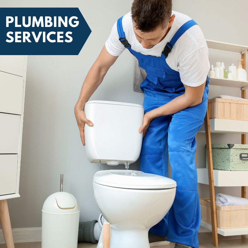 Plumbing Company in Swanton, OH